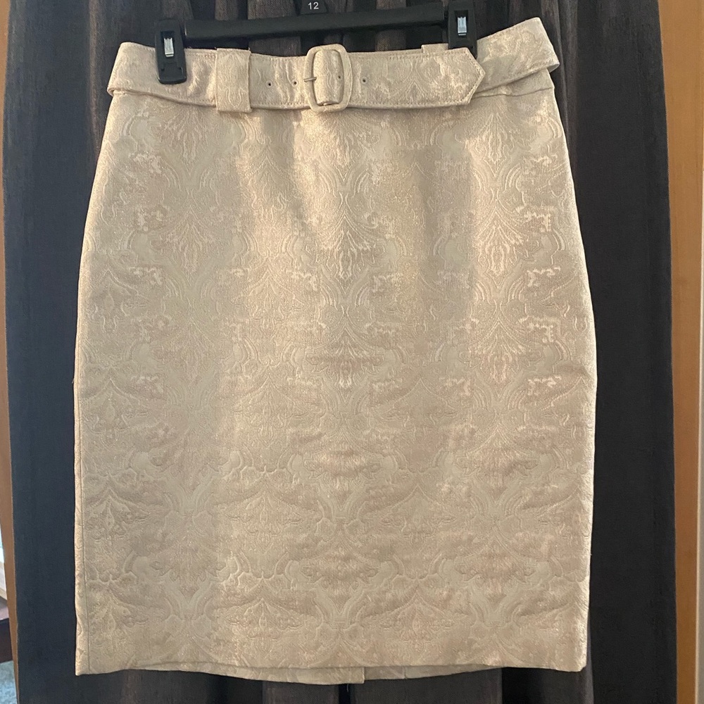 EUC Ann Taylor metallic jacquard skirt.